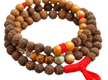 Screenshot_2026-02-03_104306-removebg-preview (1)