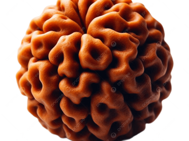 pngtree-big-rudraksh-for-bholenath-puja-png-image_15408176